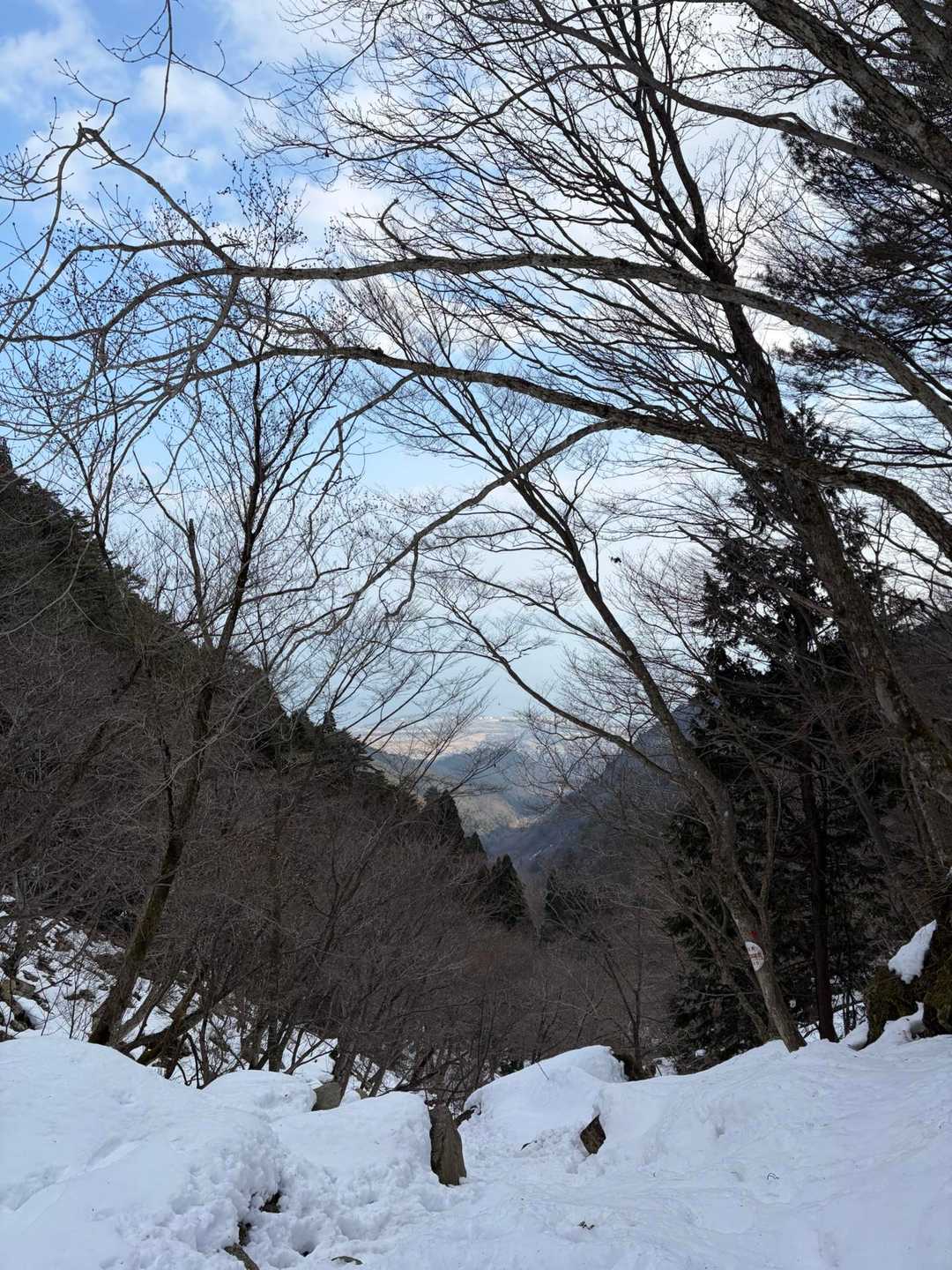 金糞峠から。
朝見えなかった琵琶湖が見えたよー
