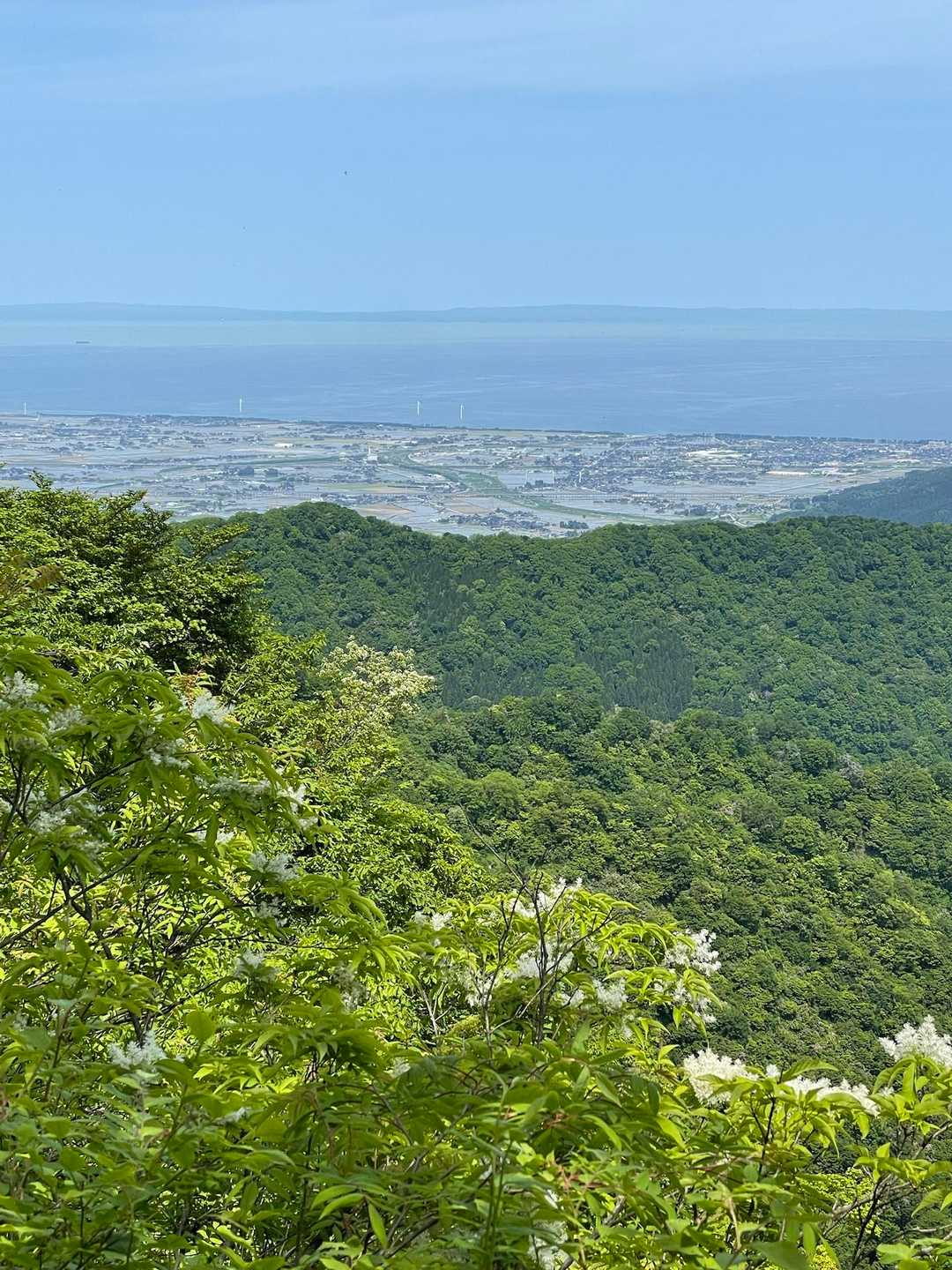 日本海遠望