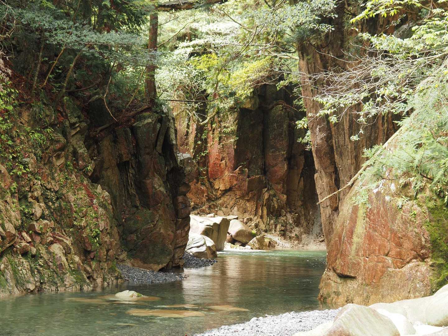 渡れたけど‥
対岸に足をかけた瞬間に目に飛び込んできたのは
足の親指に張り付いた奴とご対面😱
嫌だ〜😱早く取って〜😱

川の水が冷たすぎて末端まで血が通ってなかったのか🙄まさかの無傷😅
血を吸われることはなかったけど、メンタル⤵️