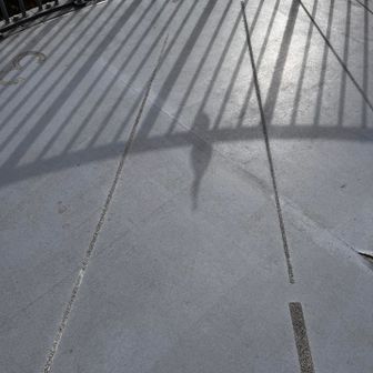 だいたい合ってます🐧