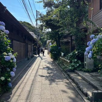 上り切って一安心