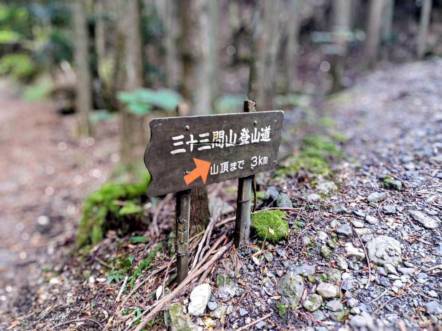 ここから登山道