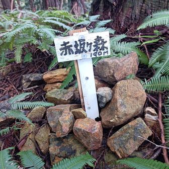とにかく高いところに登って行けば登頂できるしょ的な感じで登ってきました（笑）