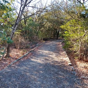 勾配の緩やかな舗装路を登っていくと🚶