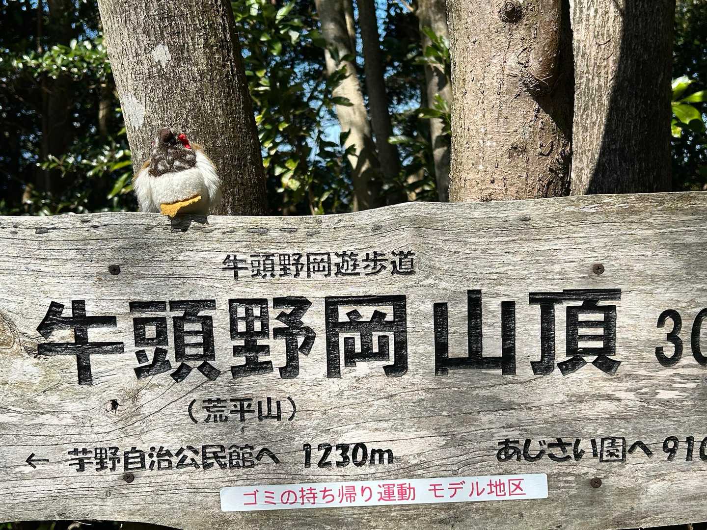 山頂　到着
これ　「ごっのおか」  って読めないよね😅