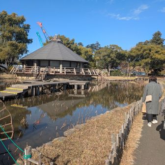 大賀ハスで有名な池