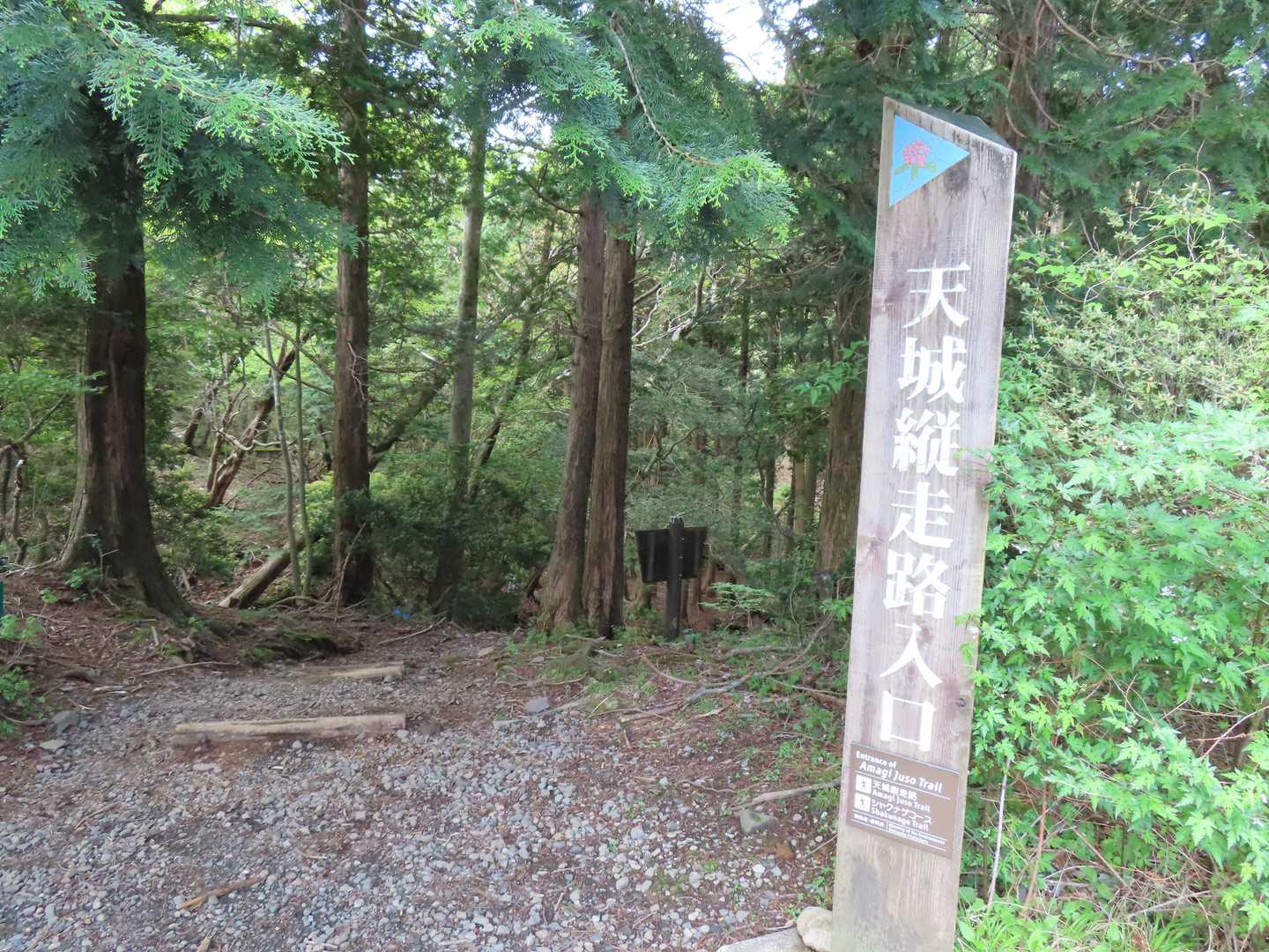 天城縦走登山口-万二郎岳-馬の背-石楠立-万三郎岳-片瀬峠 周回コースの写真
