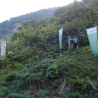 登山口、小安岳までは足元に注意して登ります。