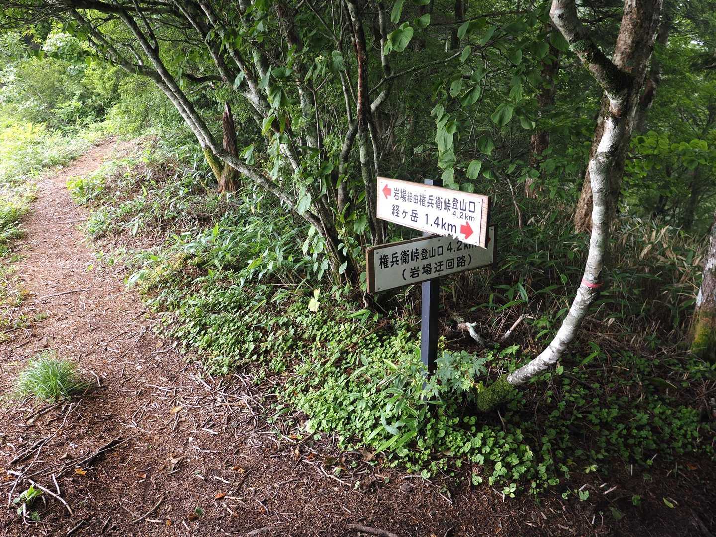 戻りは岩場迂回路へ
