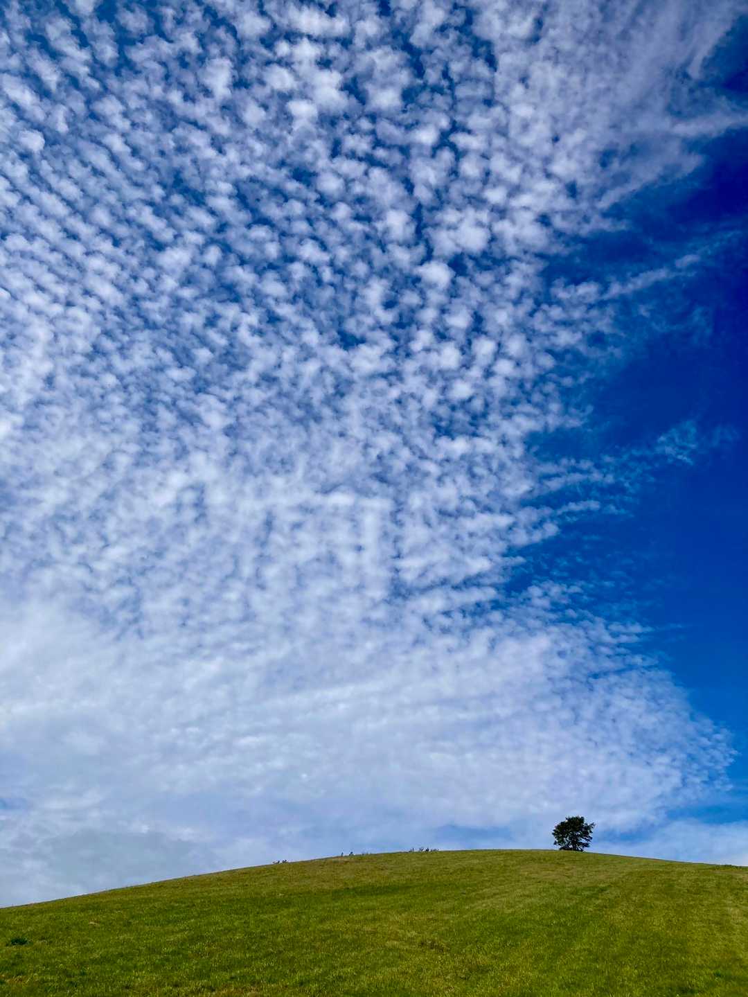 丘の上に広がる空 👍　いいっ！