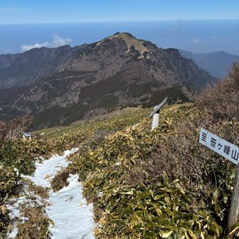 沓掛山雪ない