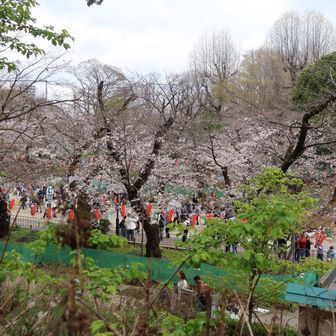 平日なのに人おおいなぁ～
