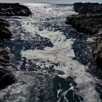 おお　うねってる