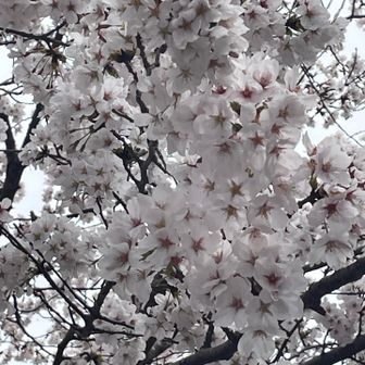ココロが満たされていく💖