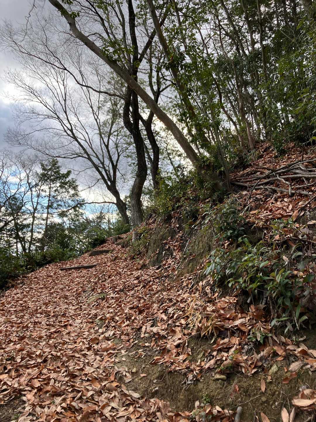 分かりやすい山道登る
