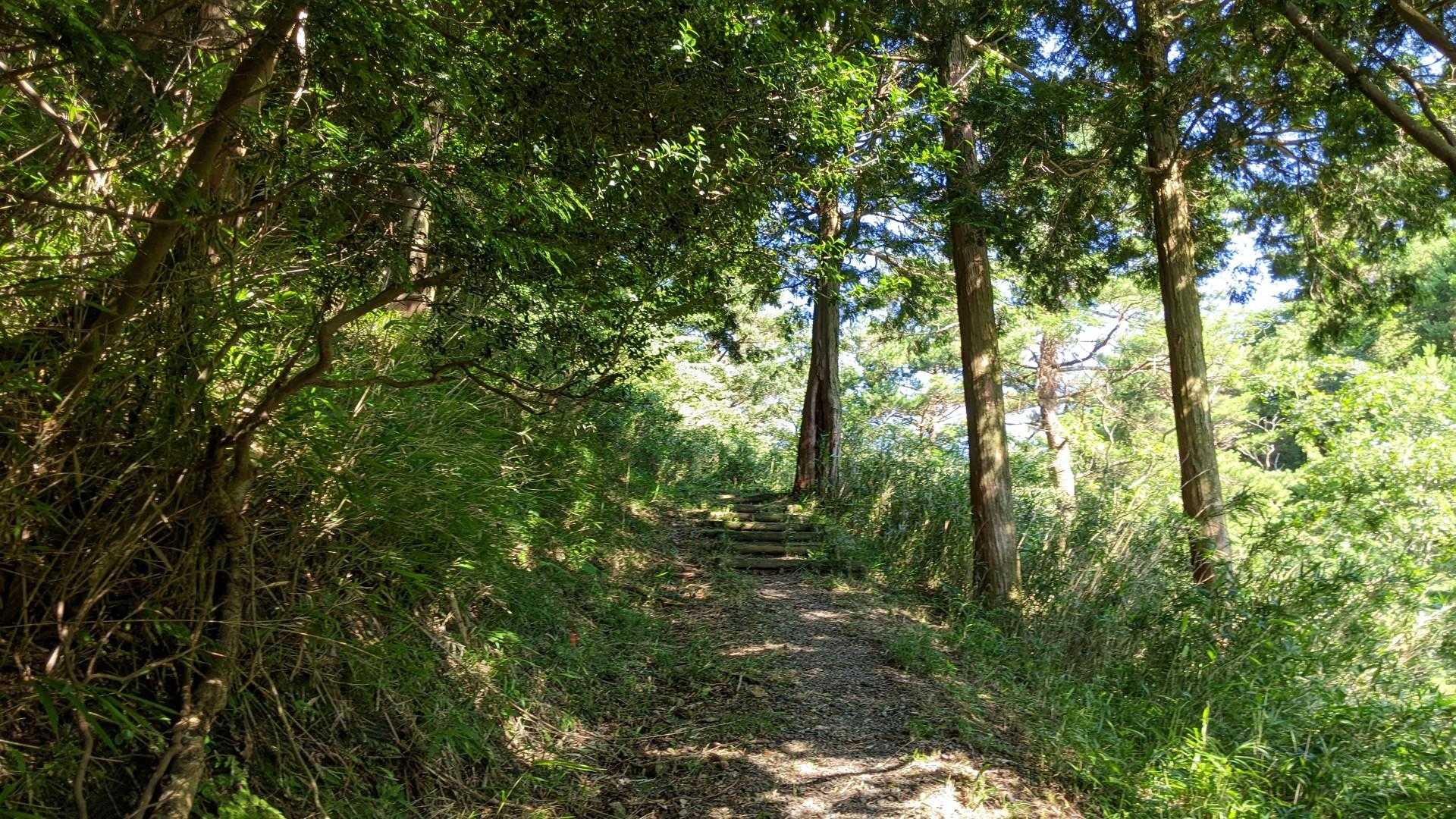 山形仙 往復コースの写真