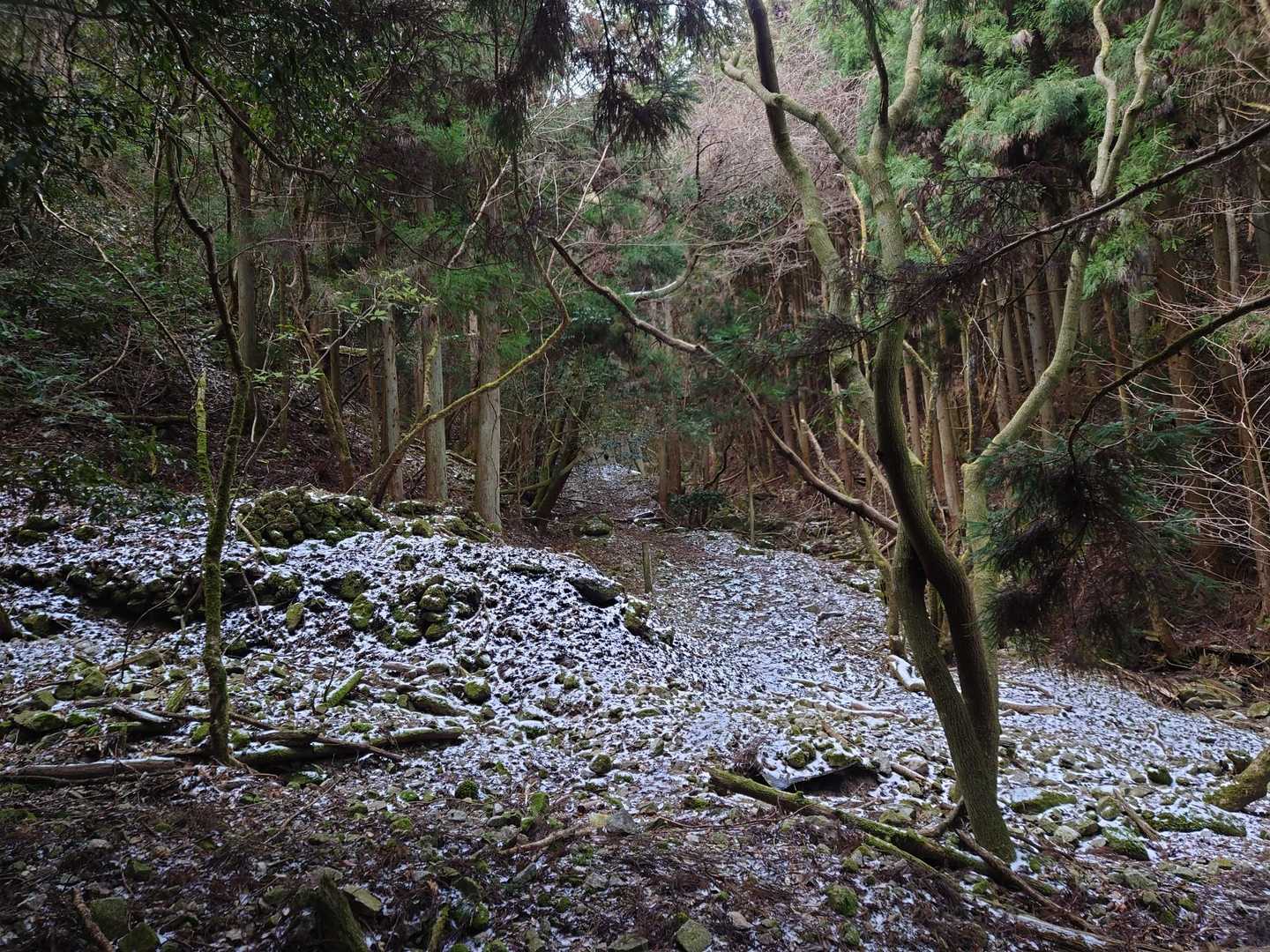 寒波の雪が残ってました