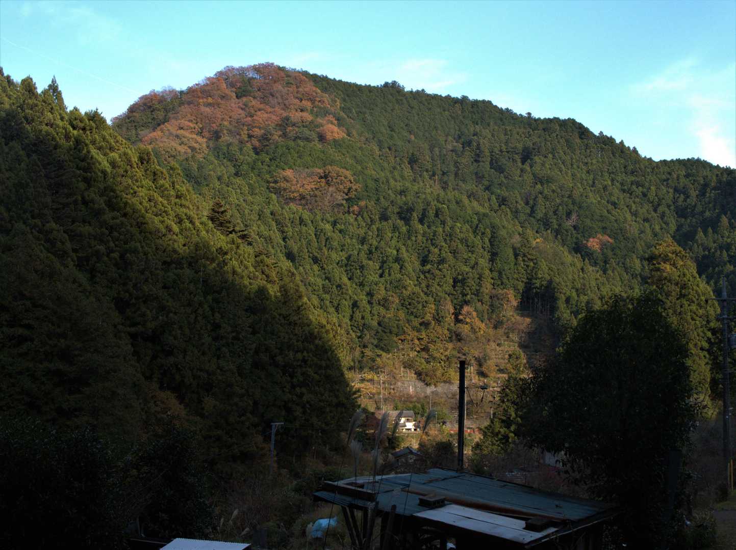 里まで下りてきました
