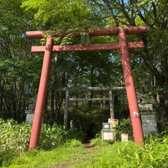 ⛩️登山口まで戻ってきました♪
お疲れ様でした😊