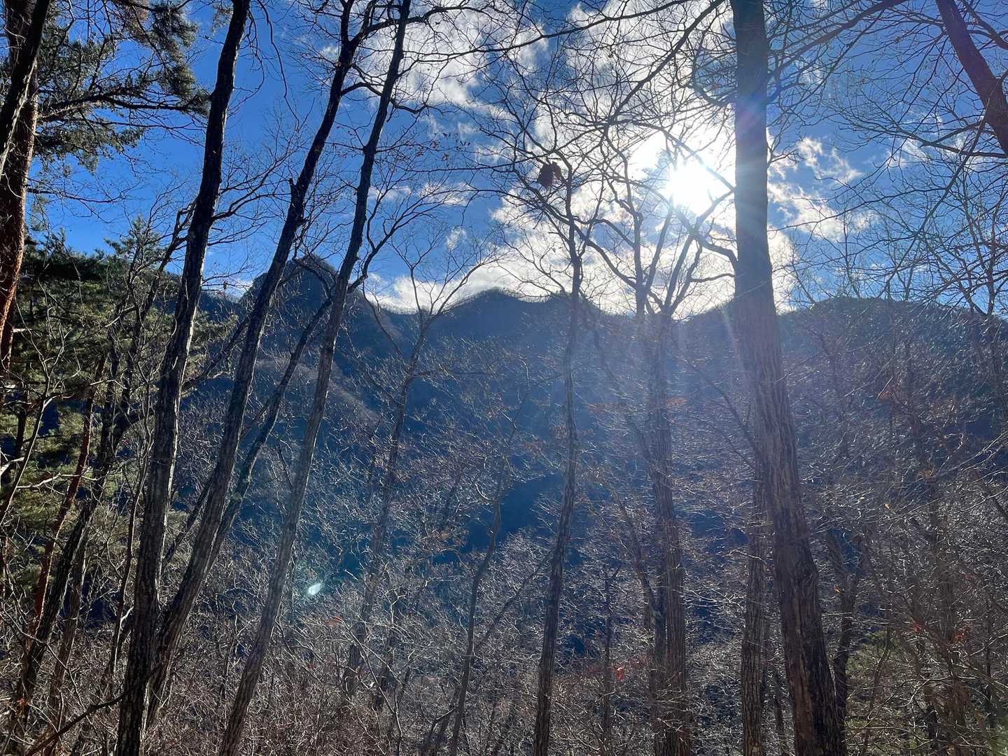 から、通ってきた山々が見渡せます😊