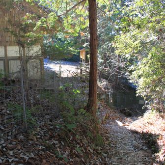 道樹山　登山口到着