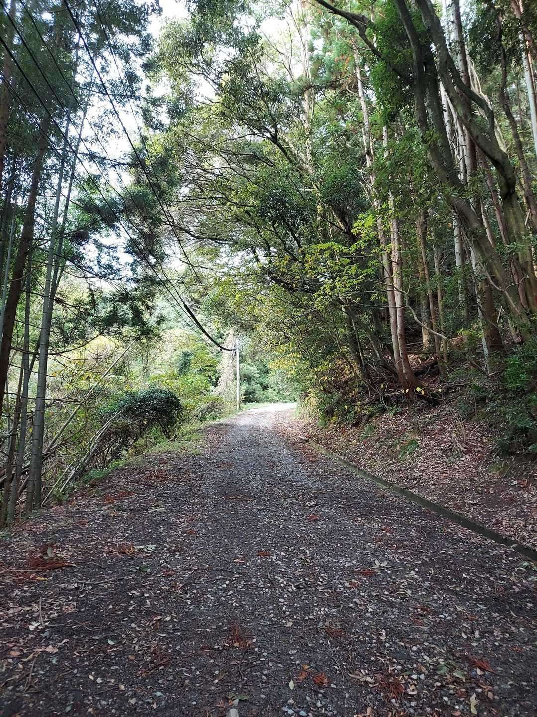 下山っ下山っ。
途中、あやかしのいたずらか空から小石が一つ腕に落ちてきました。なんだったんだ🍭