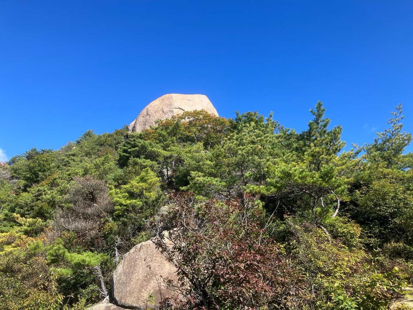 ここから頂上手前の岩🪨が見えます。
この横を通って、