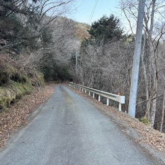 車道に出てほっとしました😮‍💨無事に下山