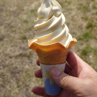 完全にイクのは怖いのでバニラと半々にしました(笑)
しいたけの味は全然分からなかったです💧(笑)