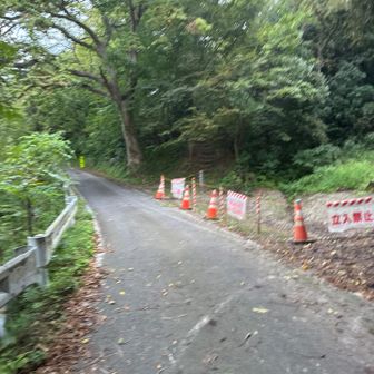 去年はこの階段に騙された
舗装路を直進