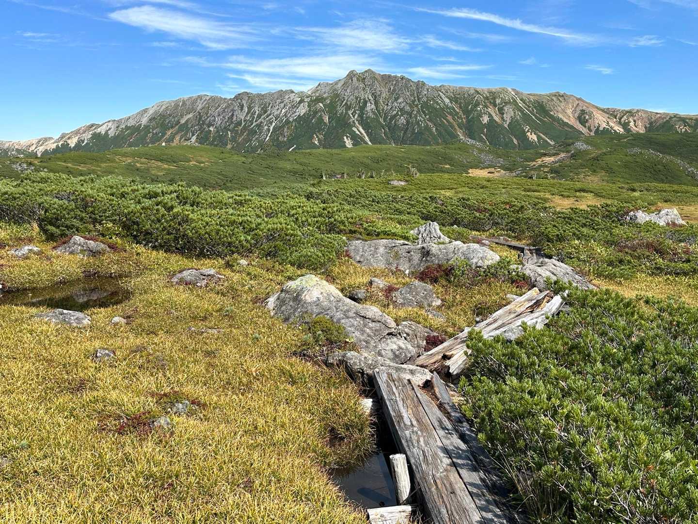 薬師岳登山口-五光岩ベンチ-アラスカ庭園-スイス庭園-祖父 縦走コースの写真