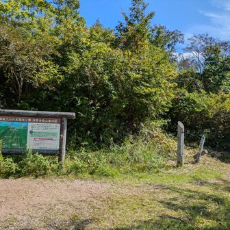 桜曽根の登山口に下りて来ました!