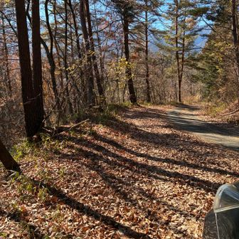こういう路肩に車を停めました。