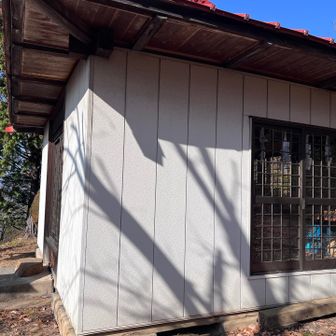 神社の裏手から出てきました