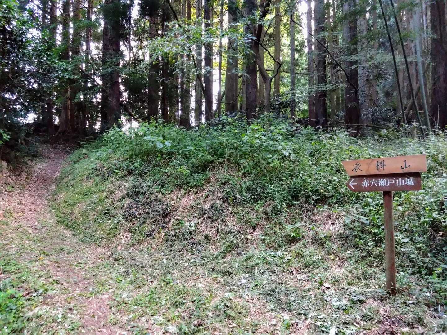 道はずっときれいで、テープや案内板があるので道迷い無しです。