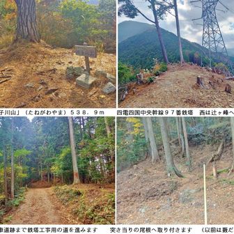 「三等三角点　種子川山」（たねがわやま）
５３８．９ｍ

種子川山は主に東種子川流域の名称ですから三角点の場所より相当東側の地域名です

種子川は高速道路付近で「西種子川」と「東種子川」に分かれます

魔戸の滝や種子川道があるのは「西種子川」で地形図には「西谷川」と記されています

一方、東種子川は串ヶ峰と上兜山～下兜山の間を水源とし、地形図には種子川（たねがわ）と記されています

国領川の上流は小女郎川とか足谷川とか記述が色々でややこしいです

石ヶ山丈尾根へ
四電・四国中央幹線97番を過ぎると「犬返りの尾根」は石ヶ山丈の尾根本体と合体します

林道（旧牛車道）を突切ってそのまま真っ直ぐ尾根を進みます