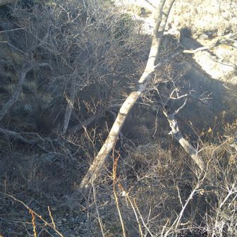 来年もこの入口から膳棚氷瀑を見に行きます❄️