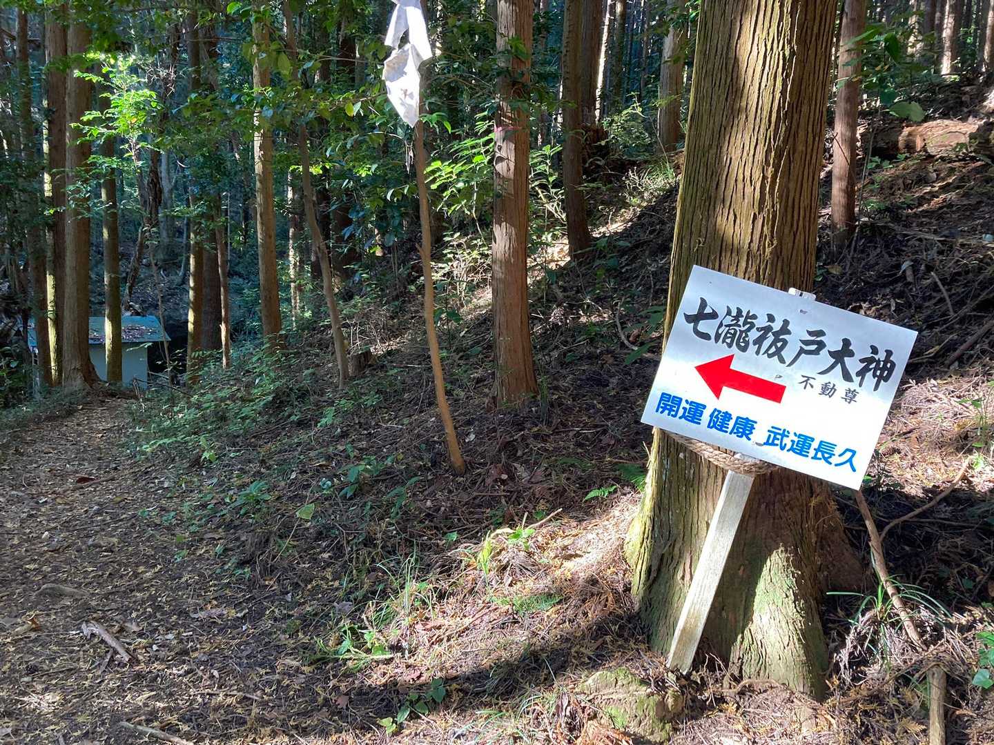 ここにたどり着くまでは、低山ならではの脇道や作業道が多くて登山道をとても見つけ難かったです🥲やっと道をしっかり見つけた直後にあった看板に誘われて…🤭