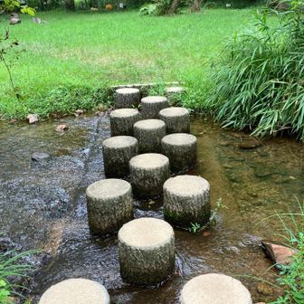 野草園🌱