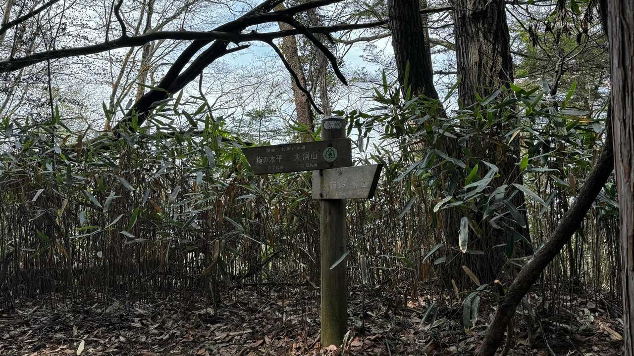 南高尾セブンサミッツ（大洞山・コンピラ山・中沢山・入沢山・泰光寺山・榎窪山・草戸山） の写真 12