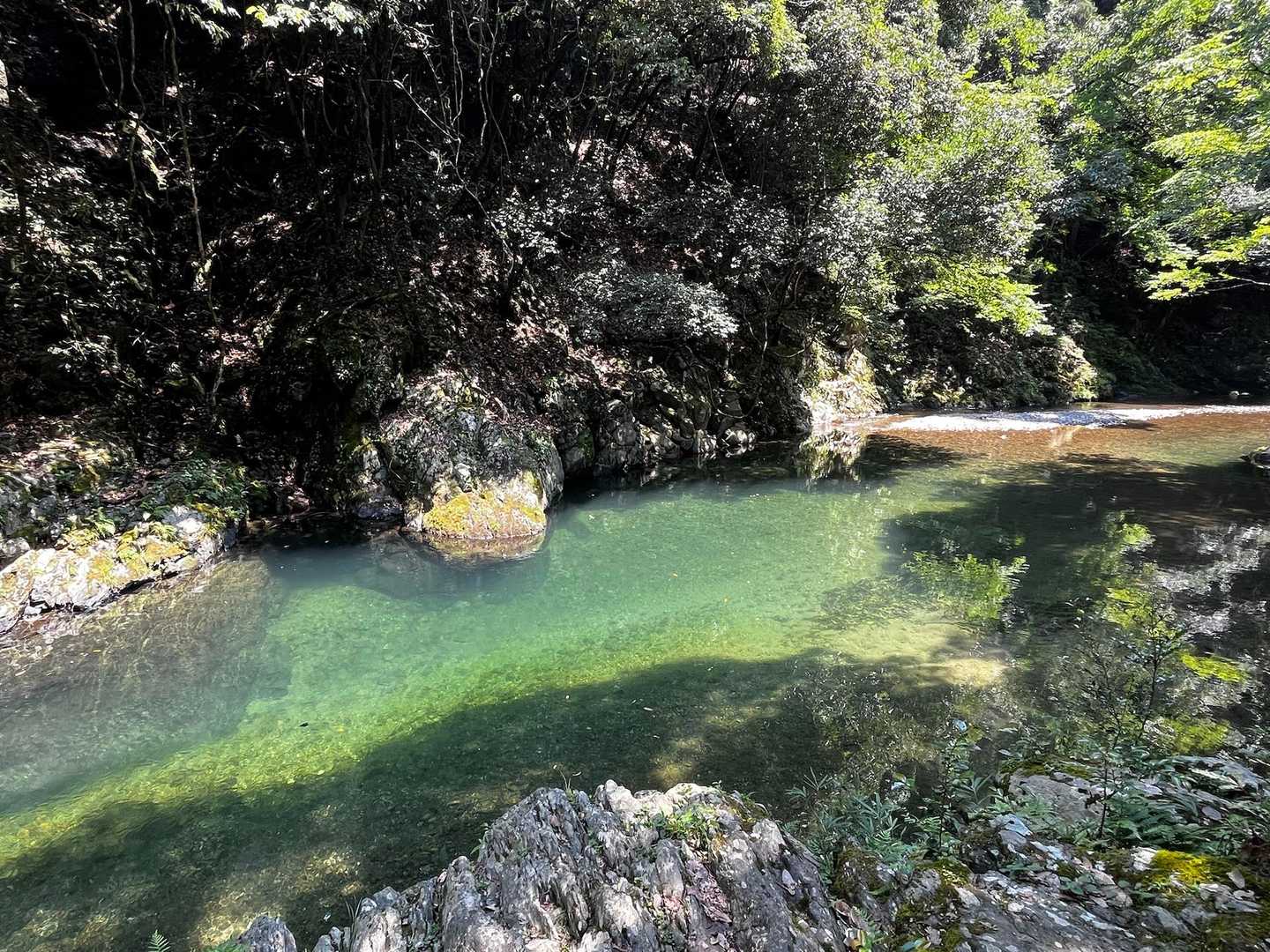 栂尾町バス停-槙ノ尾バス停-六丁峠 縦走コースの写真