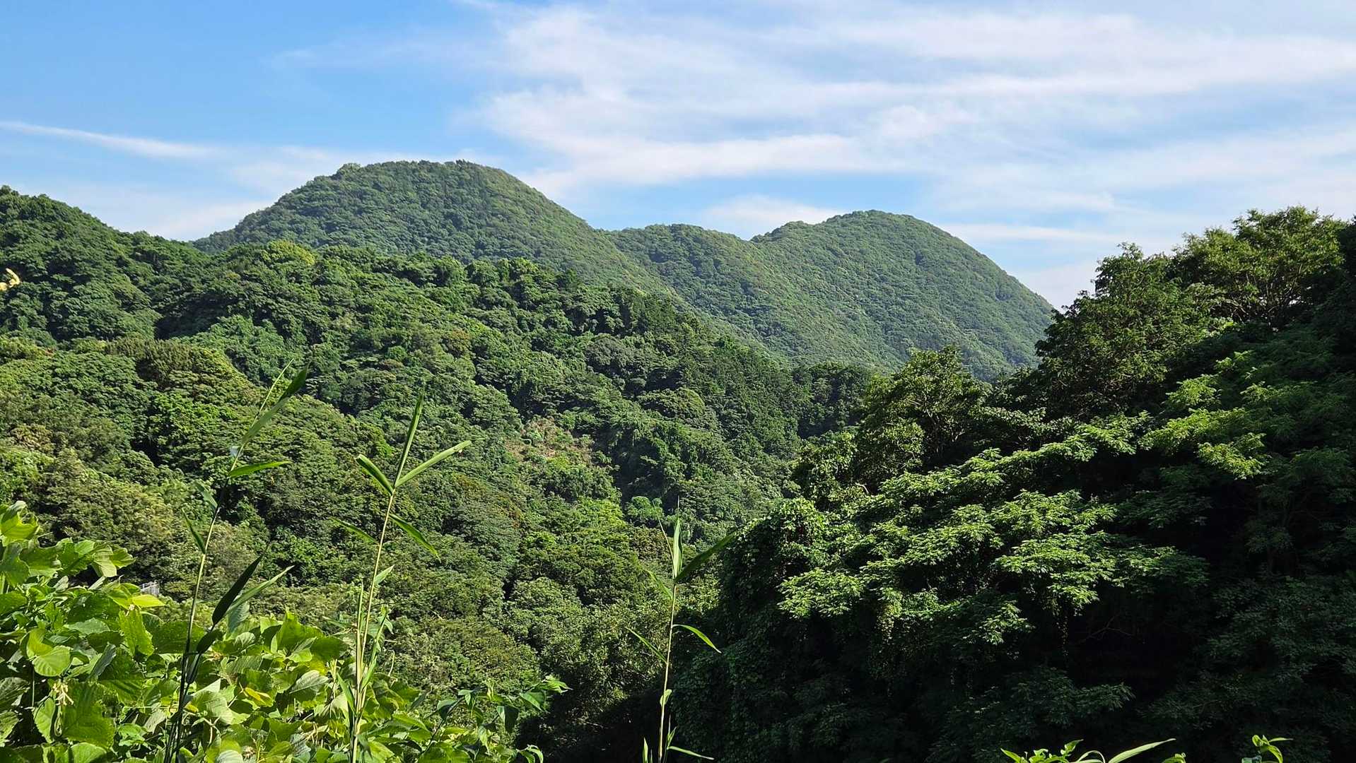 途中、沼津アルプスの徳倉山が見えました