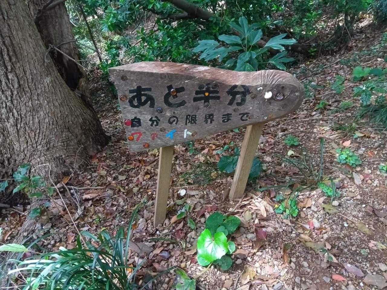 「あと半分」の表示