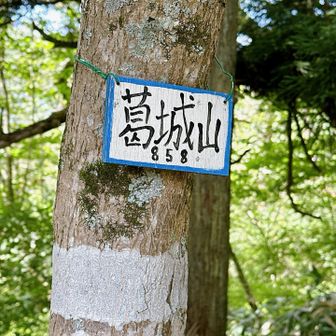 ここにも和泉の文字はなく…
山の日に来た和泉葛城山…ちょっと不発感が否めない😅