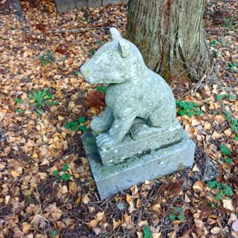 木野山様🐺
かつてニホンオオカミが畑を荒らす鹿、猪を駆除してくれた、神の使いとして崇められていたそうです🤔
昔はこの辺にも狼がいたのでしょうネ🐵