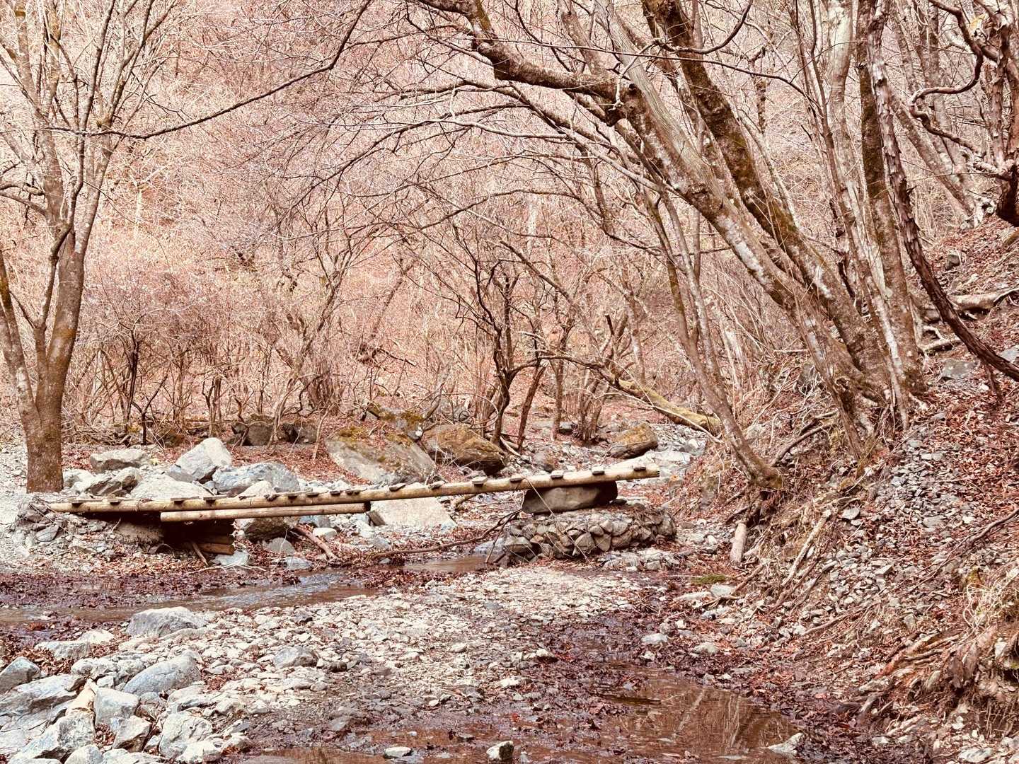 後沢乗越-鍋割山-小丸 周回コースの写真
