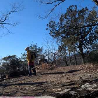 両崖山・仙人ヶ岳・石尊山 鳩ノ峰山頂
土台もしっかり造られた痕跡の残る社跡

立派な社建立の碑
社は崩れて  建立碑が残るとは無念、残念、皮肉なもの
