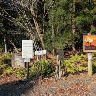 無事、降りて来ました😊