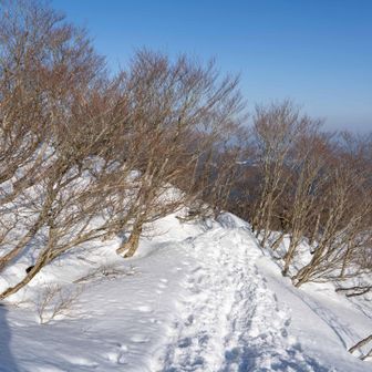 下山はスイスイ