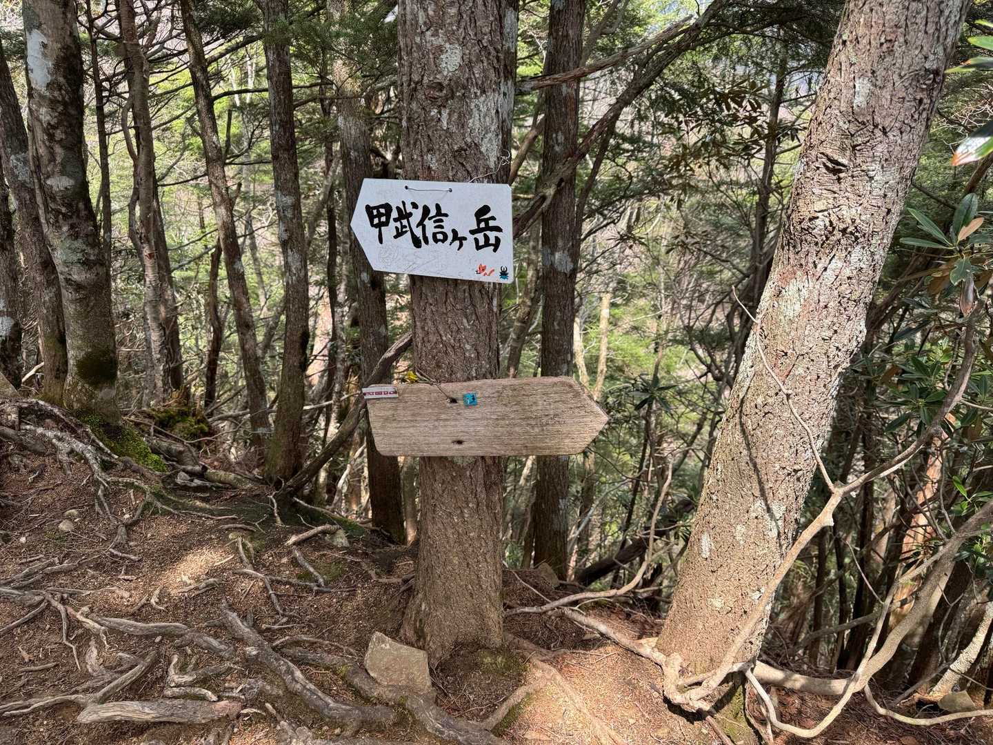 近丸新道との合流